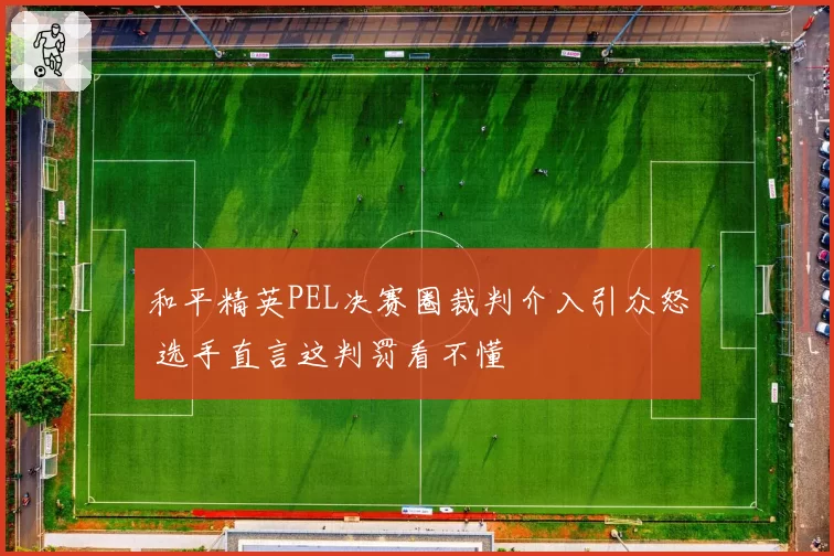 和平精英PEL决赛圈裁判介入引众怒 选手直言这判罚看不懂